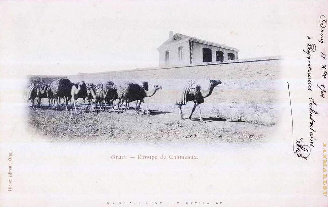 Cartes postales 1901- 1902- 007.jpg